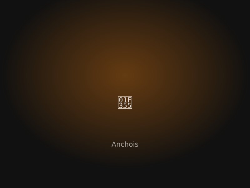 Anchois – pizza artisanale Saint-Tropez